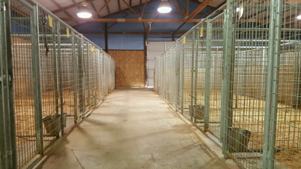 Kennels